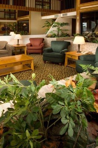Pear Tree Inn Mcallen İç mekan fotoğraf